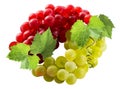 Grapes isolated on white background. 3d illustration. Vector Royalty Free Stock Photo